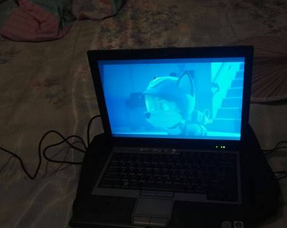 戴尔14笔记本电脑